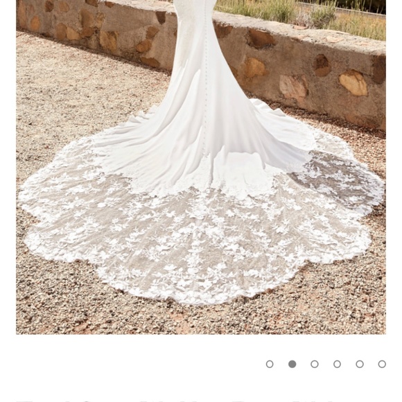 Wedding Gown - Picture 4 of 4